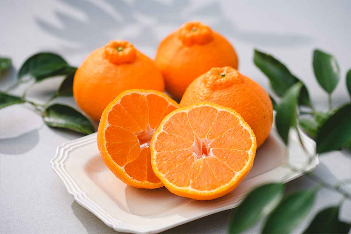 大将季