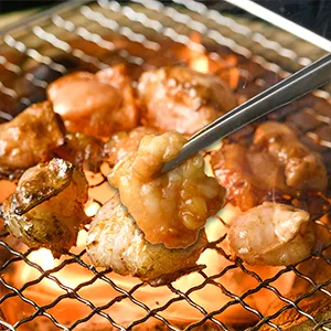 特選国産牛ホルモンセット